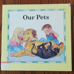 Lot of 10 Rigby PM Leveled Readers Classroom Books Mixed Titles Used