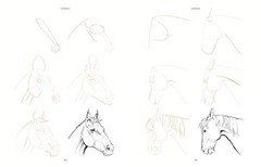 Draw 200 Animals: The Step-by-Step Way to Draw Horses, Cats, Dogs, Birds, Fish,