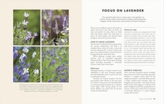 The Money-Saving Garden Year: A Month-by-month Guide to a Great Multicolor