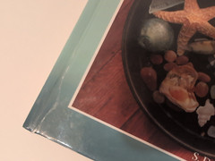 Lot of Books about Sea Glass Beachcombing