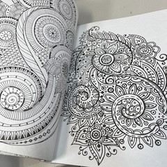 Adult Coloring for Creativity Book 288 Pages New Copyright 2015