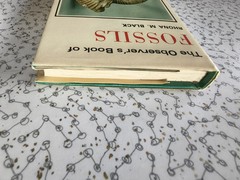 The Observer’s Book of Fossils by Rhona M. Black 1977 First Edition Hardback