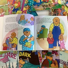 Berenstain Bears Story Children Kids Random Titles Vintage 10 Picture Book Lot
