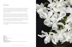Daffodils: Beautiful Varieties for Home and Garden (Flowers), Slade, Naomi, Exce