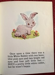 The Little Rabbit Who Wanted Red Wings by Carolyn Sherwin Bailey P&M 1961