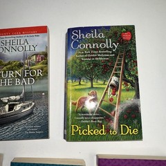Lot of 5 (4 County Cork Mystery Series Books) & Picked To Die by Sheila Connolly