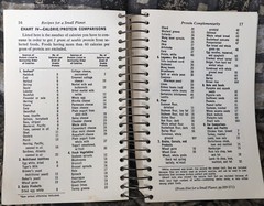 Recipes for a Small Planet Ellen Buchman Ewald 1973 Ballantine Books