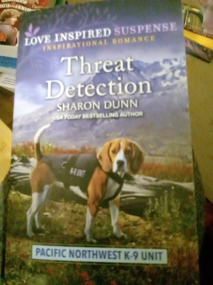 Threat Detection by Sharon Dunn (Paperback)