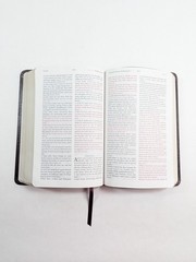 KJV Jack Van Impe Prophecy Bible Burgundy Leather Red Letter Limited Special Ed.
