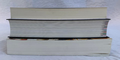 The Familiar Vol 1, Only Revolutions, Mark Z. Danielewski House of Leaves books