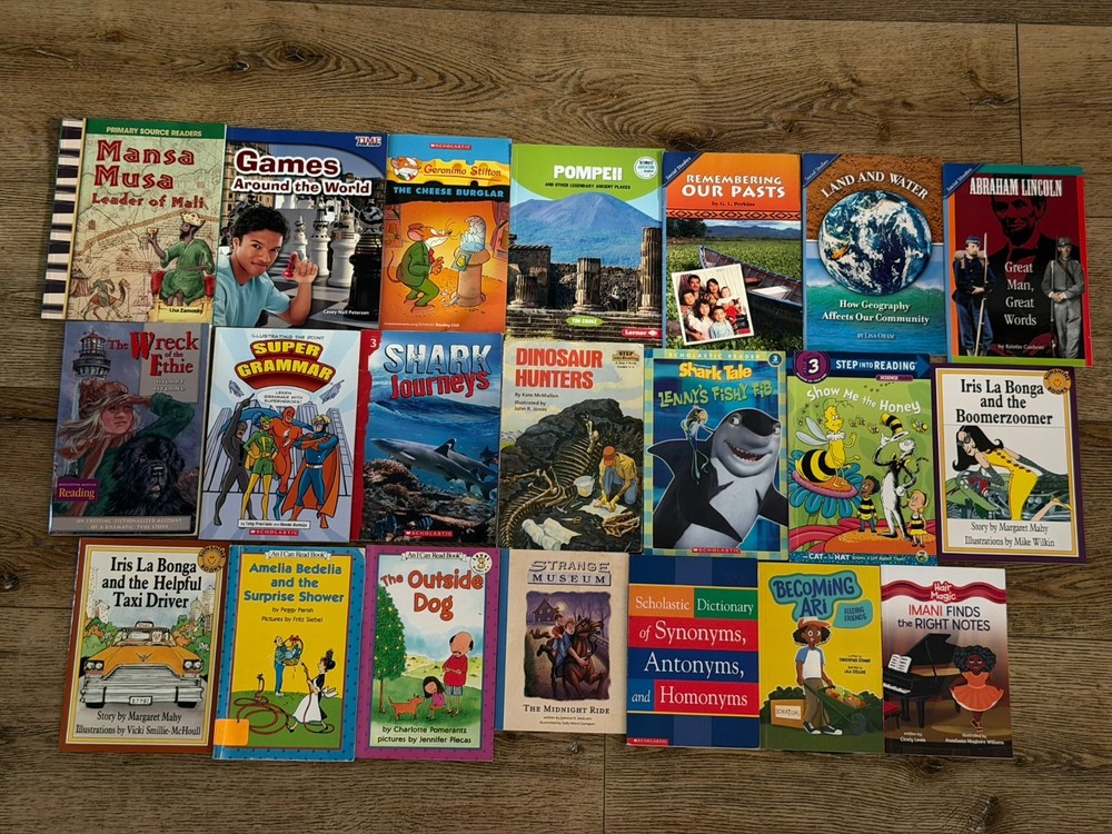 Lot of 21 Level 3 & 4 Early Reader Chapter Books Scholastic I Can Read Mixed Set