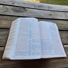 HOLY BIBLE ROYAL SOVEREIGN WORLD KJV BURGANDY GENUINE BONDED LEATHER RED LETTER