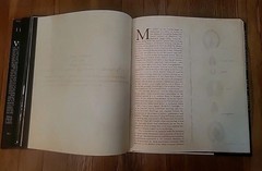 Unicorns I Have Known by Robert Vavra 1983