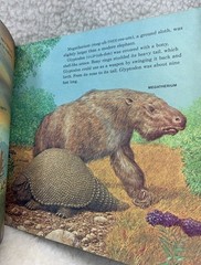 Prehistoric Animals By Peter Zallinger Childrens Book Random House Vintage 1978