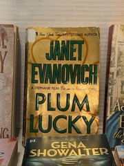 Vintage Romance Novels Lot Of 11 1980’s 1990’s 2000’s Paperback Books Lot Sultry