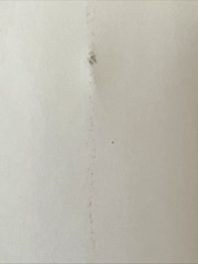 ✅🔥Gone Before Goodbye *JSA Auth.* / SIGNED by Witherspoon & Coben- MINOR DAMAGE