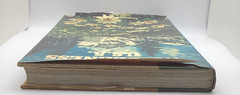 Wilderness U. S. A. by National Geographic Society (1975, Hardcover)