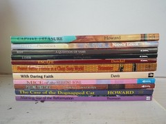 Lot 11 BJU Press Journey Forth Novels Literature Books