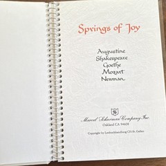 Vintage “Springs” Gift Book Lot (3) Joy Humor Friendship Decorative Hardcover