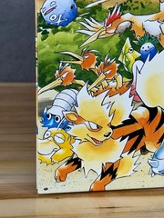 Let’s Find Pokémon! Special Complete Edition Hardcover