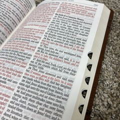 KJV Giant Print Bible | Indexed | Brown Crown of Thorns | red letter