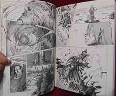 WORLD of WARCRAFT ~ MAGE ~ Graphic Novel by Richard A. Knaak (2010 – 1st Print)