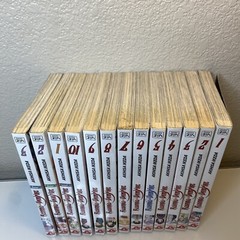 Rosario + Vampire Manga Season 1 Vol. 1 – 10 + Season 2 Vol. 1-3 Shonen Jump Viz