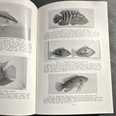 William T. Innes – Goldfish Varieties & Tropical Aquarium Fishes – 1931