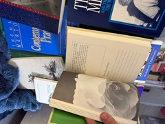 Books by and about Thomas Merton Lot of 16 Vintage Monk Monastic Zen Catholic