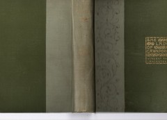 The Lady Of Cawnpore Frank Vincent Albert Lancaster 1891 Funk/Wagnalls HC RARE!!