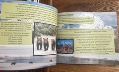 GRIZZLY 399 THE STORY OF A REMARKABLE BEAR BY SYLVIA M. MEDINA children’s Book
