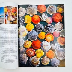 Beach Combing 10 Magazines Volumes 28 to 31 2022 & 35 to 40 2023 and 2024