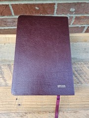 VG! TNIV Large Print Thinline Bible Deep Burgundy Bonded Leather OOP