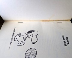 Lot of 3 Vintage Peanuts Books