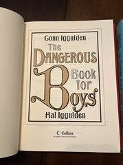 Book Lot- “The Daring Book For Girls” & The Dangerous Book for Boys” HC, illustr