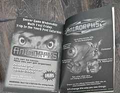 Lot Of 25 Animorphs Books- 1996-2001 See Photos For Titles