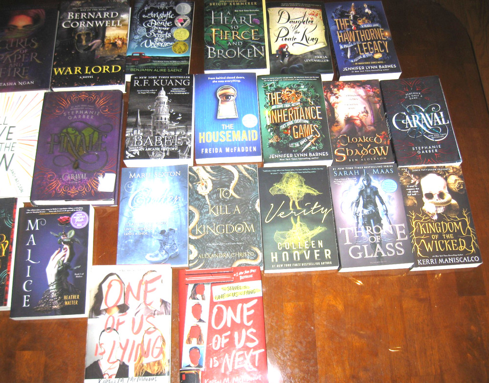 Lot of 28 Books Young Adult Literature Diverse Genres Good to Excellent