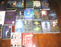 Lot of 28 Books Young Adult Literature Diverse Genres Good to Excellent