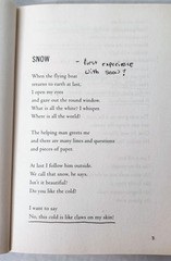 Home of the Brave Katherine Applegate PB 2008 Annotated Study Copy ISBN 03125356