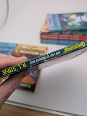 LOT OF 30: Vintage 90s RL Stine GOOSEBUMPS Books VG/EX All Different + Extras