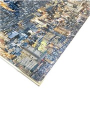 Sato Shintaro The Origin of Tokyo Japanese Photo Book Seigensha