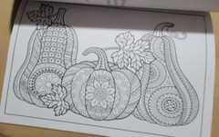 COLORFUL ESCAPES – A Bounty of Color! Vol. 22 – Adult Coloring Book – 47 Pages