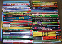 Random Lot 20 BOYS Reading Level 3rd 4th 5th Grade Chapter Books FREE SHIP