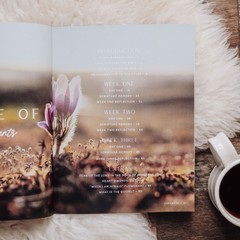 The Daily Grace Co When Fear Meets Faith Bible Study – Women