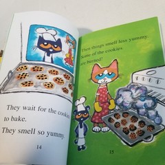 Lot 10 Early Reader Books Learn to Read Kindergarten Level 1 2 Phonics Kids