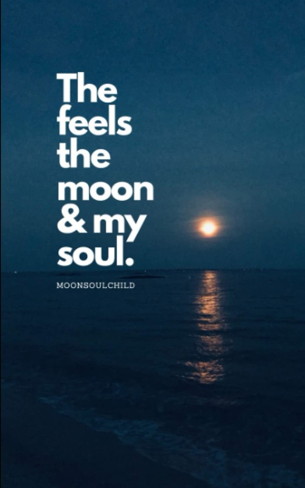 The Feels The Moon and My Soul – Sheehan, Sara – Good – See condition notes