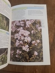 Eyewitness Garden Handbooks Perennials by David Joyce and Deni Bown 1997