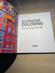 BES Publishing Extreme Coloring Amazing World Beverly Lawson Paperback 2016 Ext…