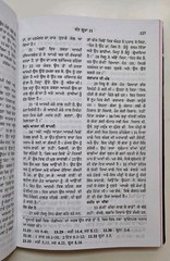 Punjabi New Testament Bible Vinyl Cover Bible Society Of India *NEW* 2009