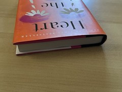 Heart the Lover by Lily King (2025, Hardcover) – GOOD